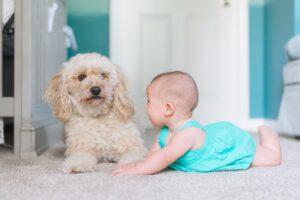 tummy-time toys
